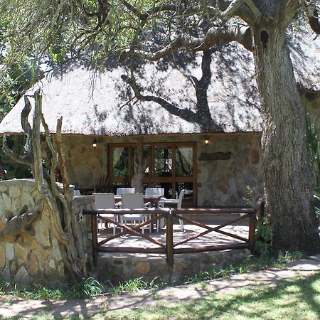 Maison d'hôtes Moholoholo Ya Mati à Kampersrus AH Extérieur photo