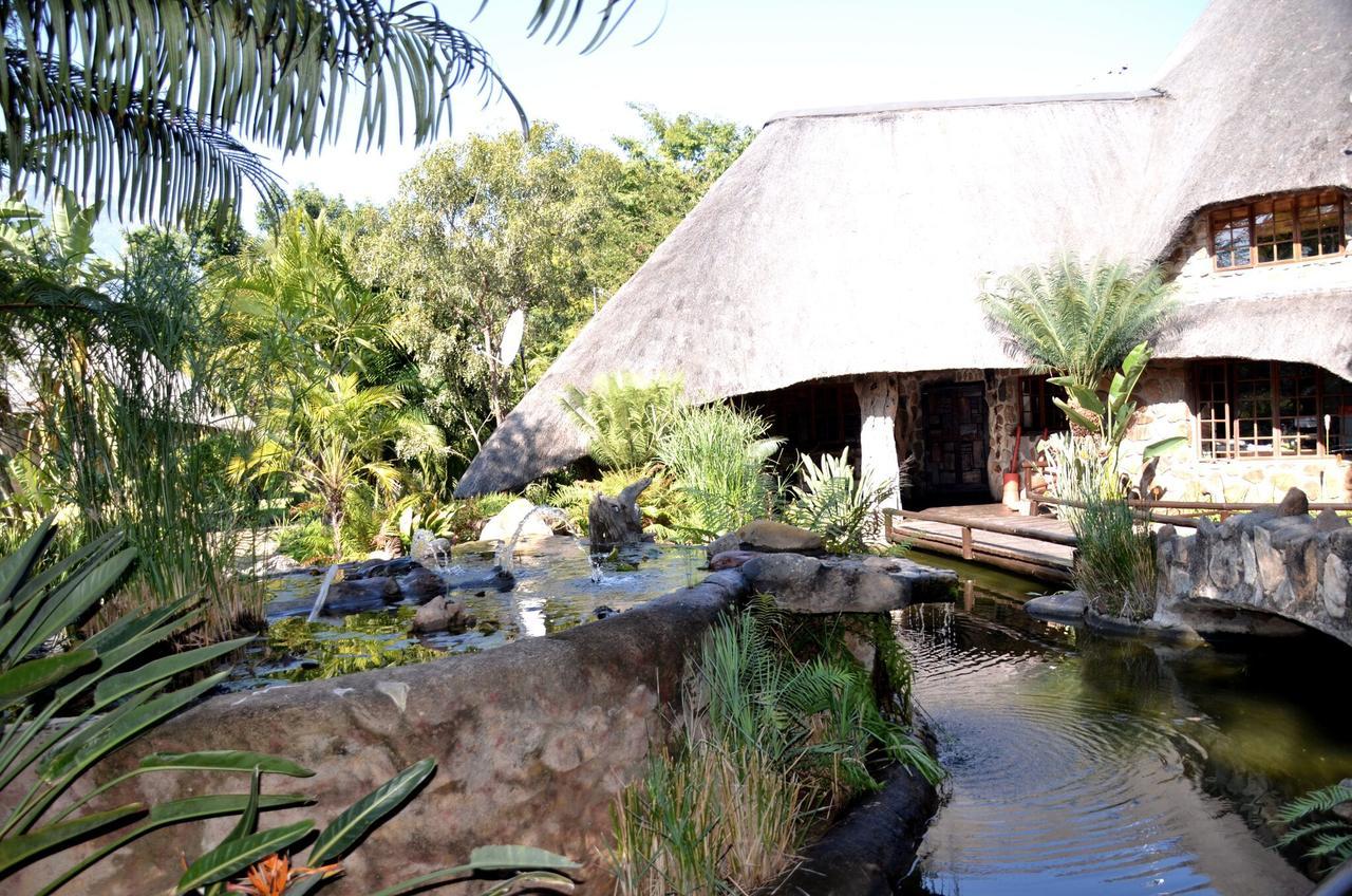 Maison d'hôtes Moholoholo Ya Mati à Kampersrus AH Extérieur photo