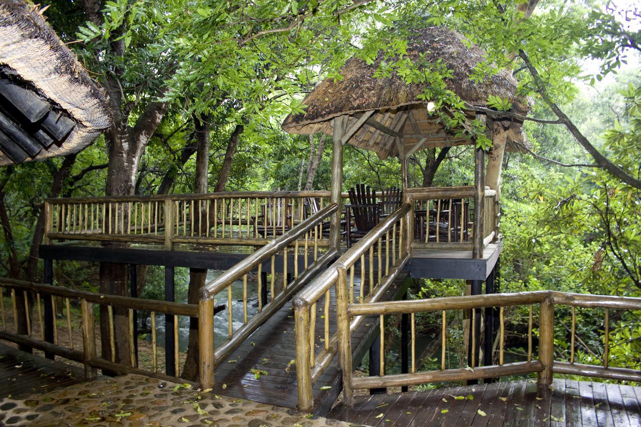 Maison d'hôtes Moholoholo Ya Mati à Kampersrus AH Extérieur photo