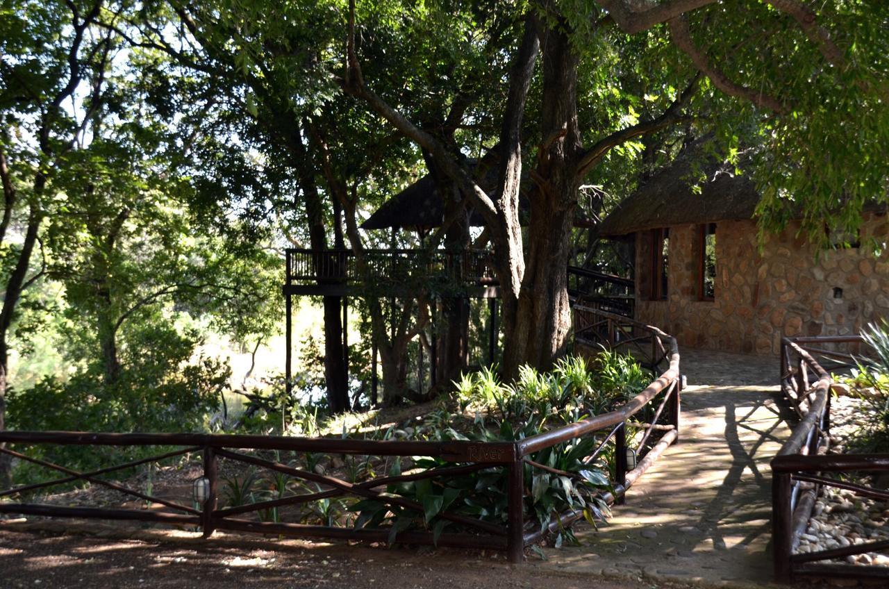 Maison d'hôtes Moholoholo Ya Mati à Kampersrus AH Extérieur photo