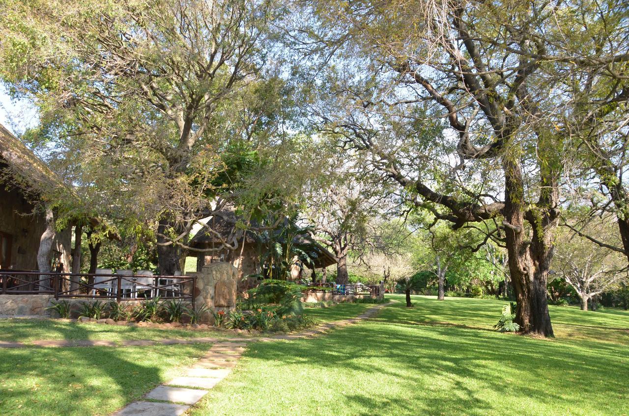 Maison d'hôtes Moholoholo Ya Mati à Kampersrus AH Extérieur photo